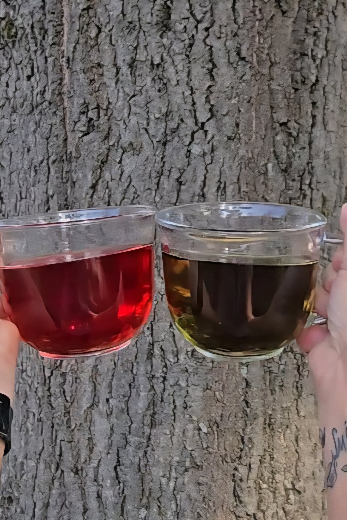 Naughty & Nice Holiday Gift Set