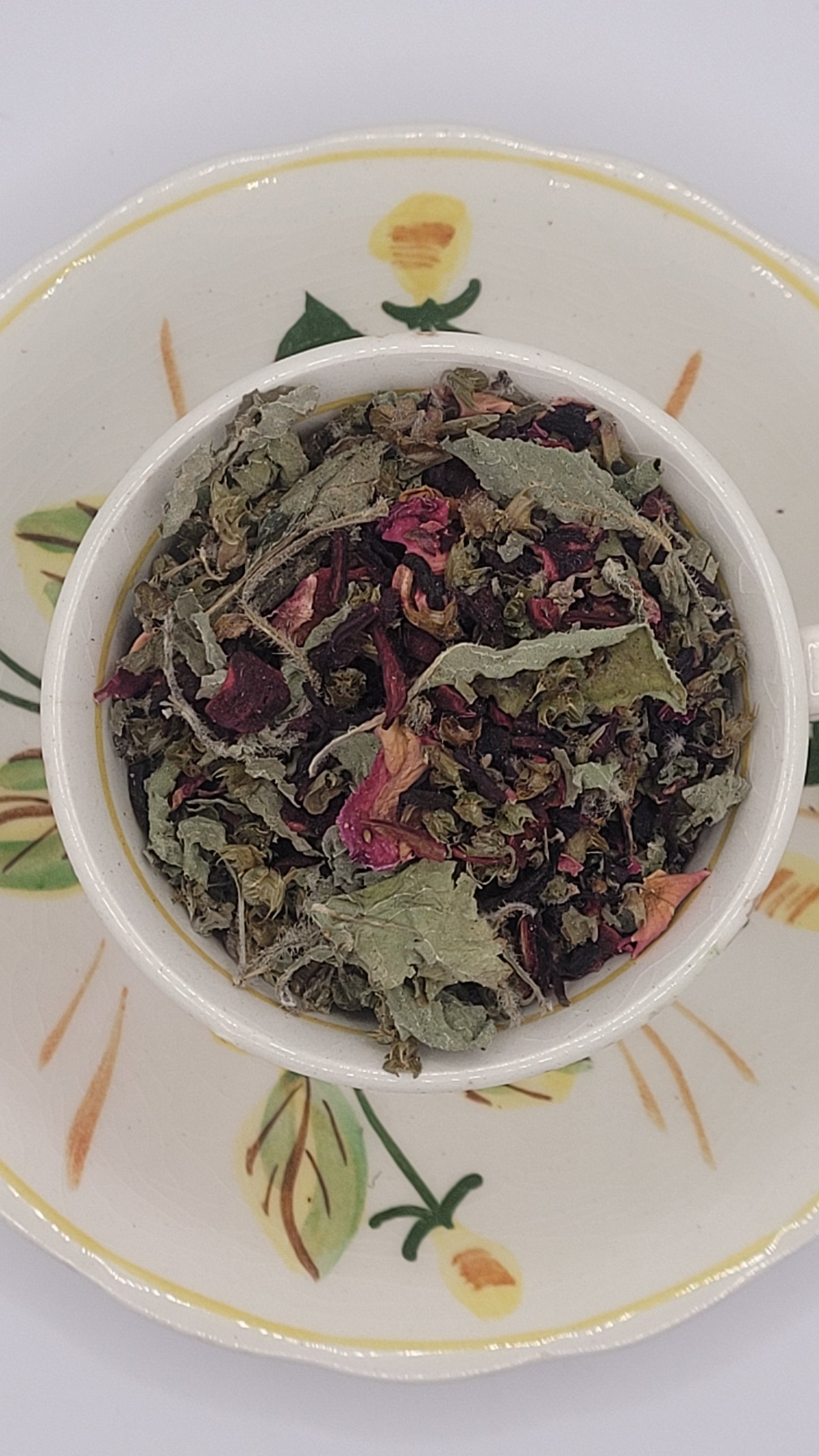 Holy Hibiscus