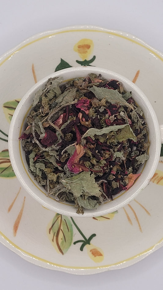 Holy Hibiscus