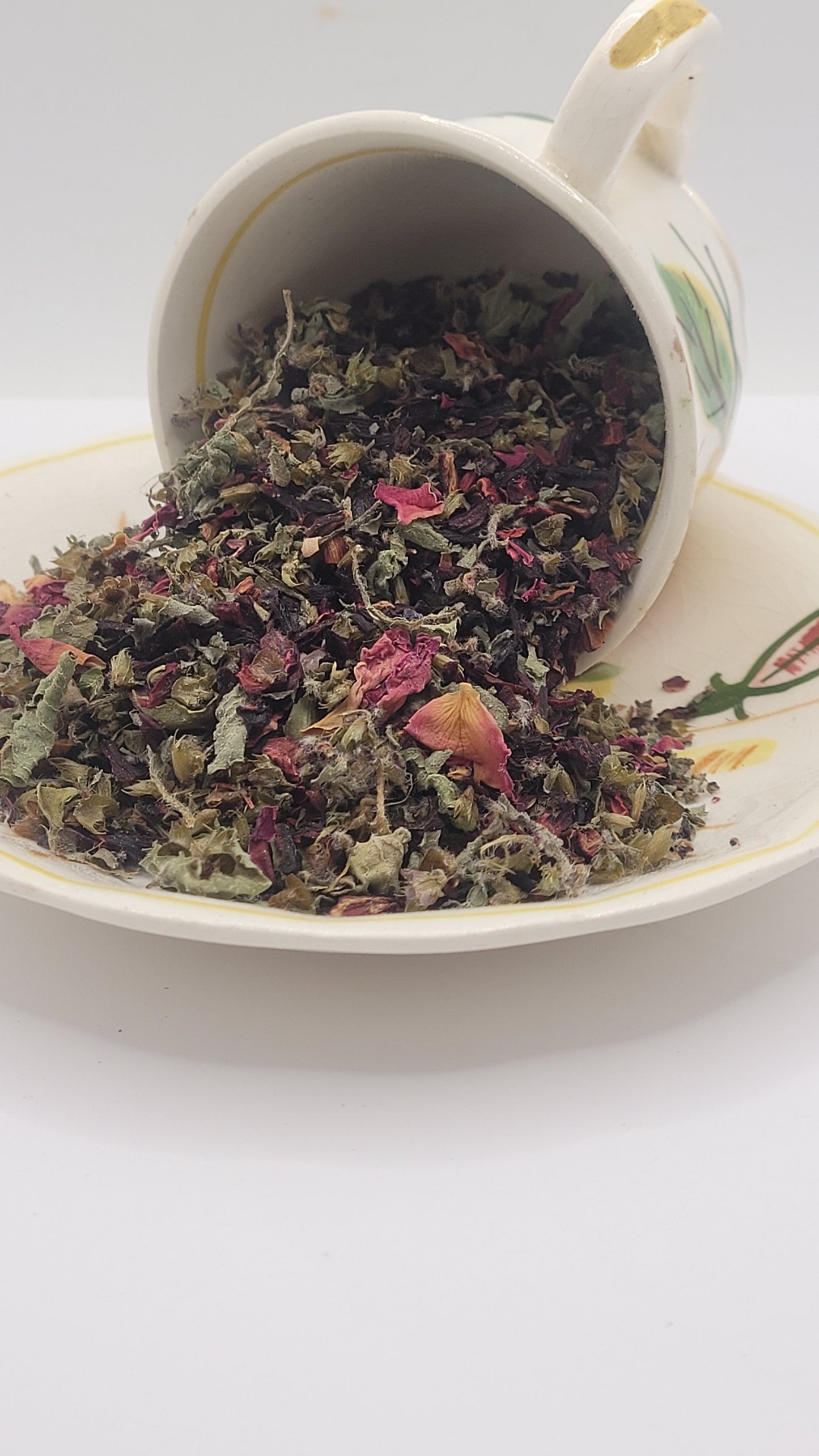 Holy Hibiscus